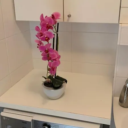Bright Apapartment In The Heart Of ברטיסלאבה