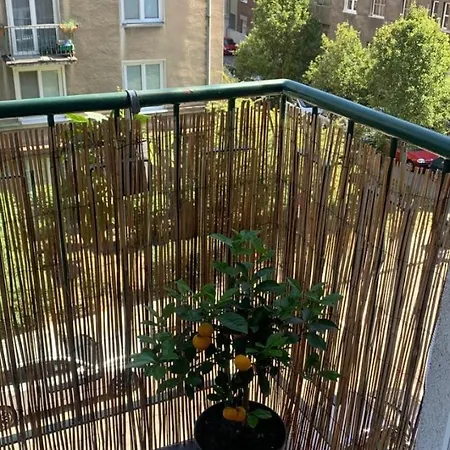 דירה Bright Apapartment In The Heart Of ברטיסלאבה